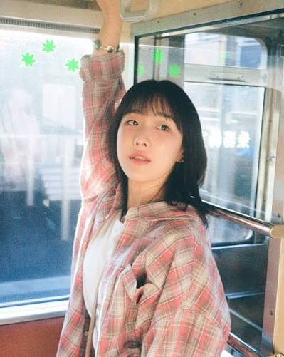 치즈Img